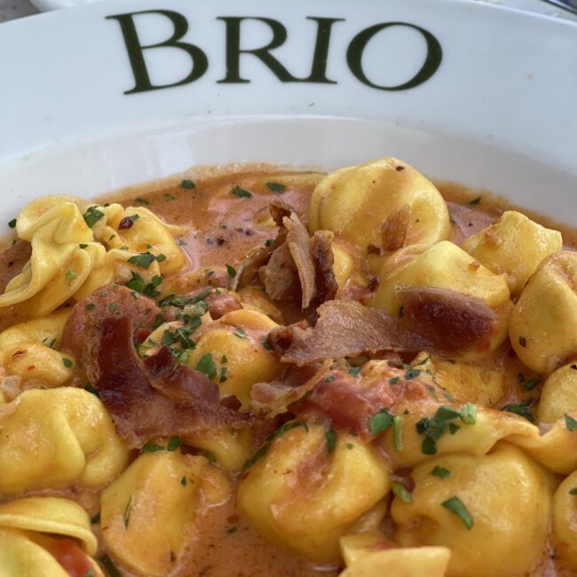 usa4everyone - Naples Brio Noodles